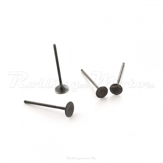 Клапаны (компл. 4шт) 4T двиг. ZS174MN-3 (CBS300) pitbikemarket.ru
