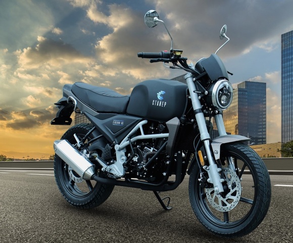 Мотоцикл ZID-300-01 Стайер pitbikemarket.ru