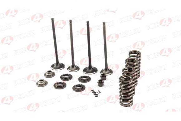 Рем. комплект клапанов ГРМ 174MN-3 (CBS300) ZS pitbikemarket.ru