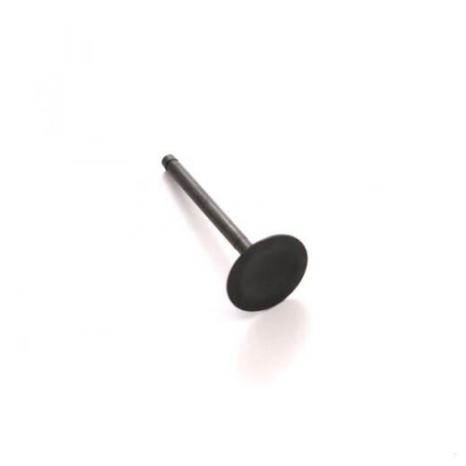 Клапан впускной двиг. YX170 см3 (K170)  SM-PARTS pitbikemarket.ru