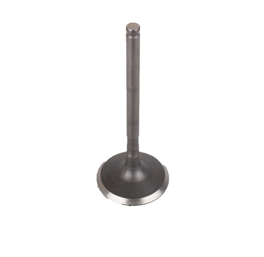 Клапан впускной двиг. ZS1P62YML-2 (W190)  CN pitbikemarket.ru