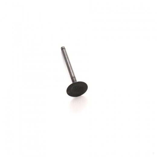 Клапан выпускной двиг. YX170 см3 (K170)  SM-PARTS pitbikemarket.ru