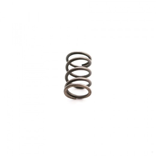 Пружина клапана внешняя двиг. YX170 см3 (K170)  SM-PARTS pitbikemarket.ru