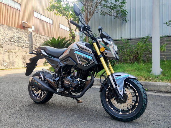 Мотоцикл PROMAX MSX200 CROM (49) pitbikemarket.ru