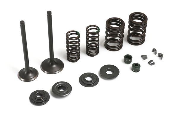 Рем. комплект клапанов ГРМ 172FMM-3A (CB250-F) pitbikemarket.ru