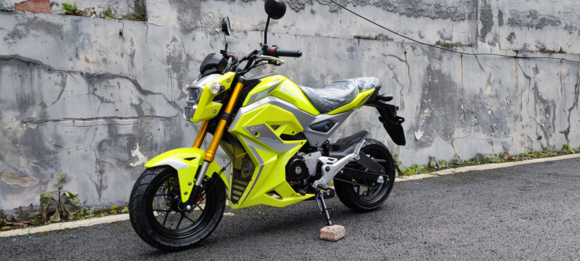 Мотоцикл PROMAX STRYKER 200(49) 2.0 pitbikemarket.ru
