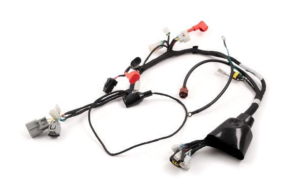 Жгут проводки для двигателя ZS174MN-3/5 pitbikemarket.ru