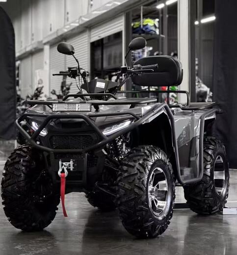 Квадроцикл Exot 400 4x4 EFI (ПСМ) pitbikemarket.ru