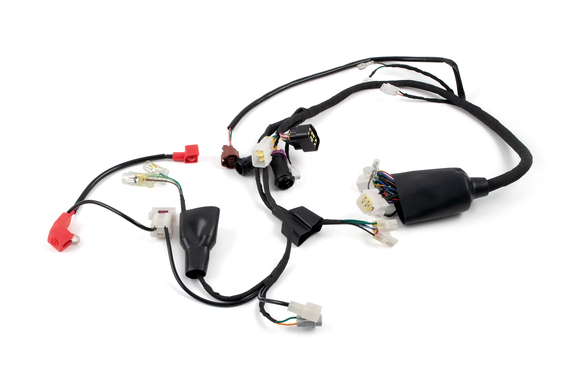 Жгут проводки для мотоцикла BRZ X8 2023 BE (174NB) pitbikemarket.ru