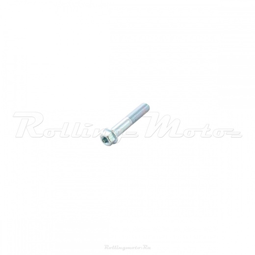 Болт М8х40 Torx T40 pitbikemarket.ru