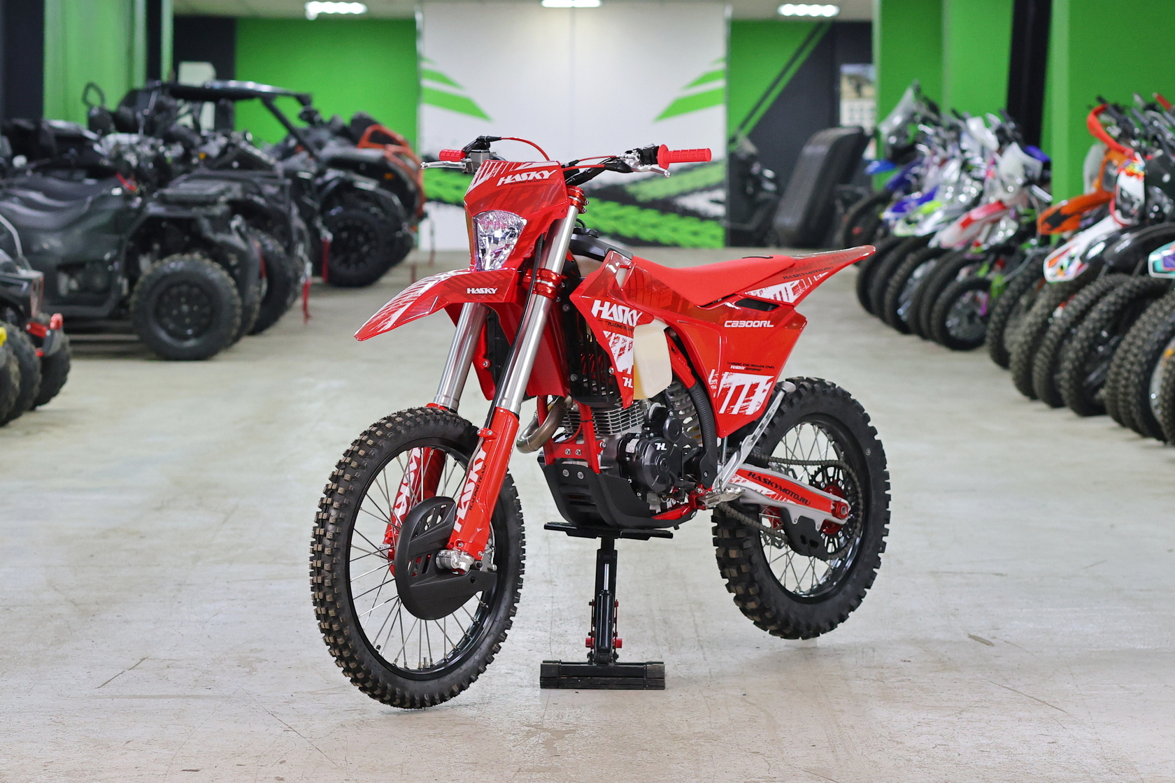 Мотоцикл Hasky A10 Ride CB300 RL MSD (A10 CB)-2