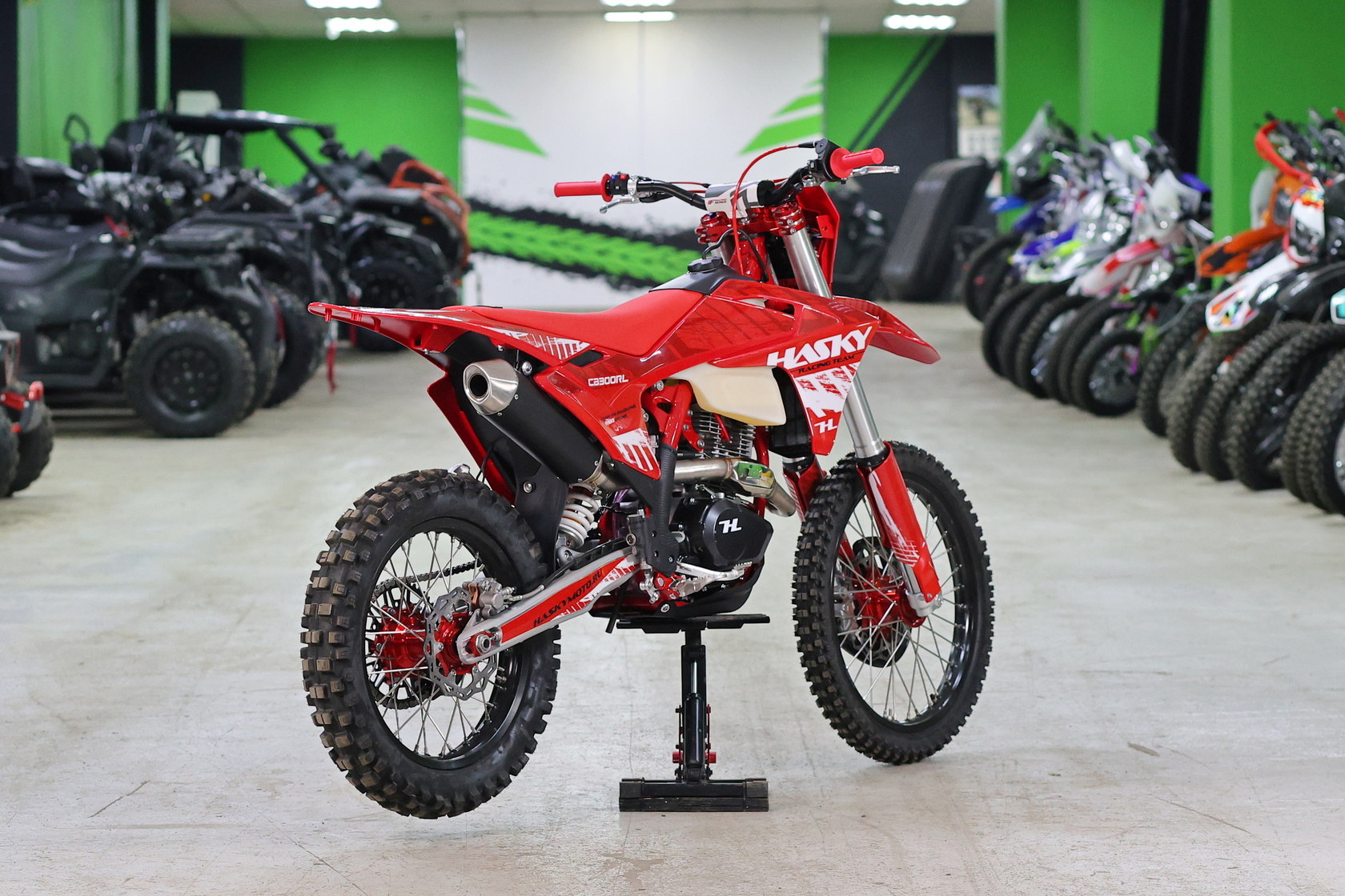 Мотоцикл Hasky A10 Ride CB300 RL MSD (A10 CB)-4